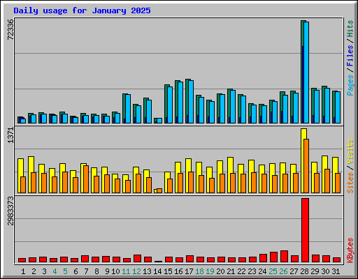 Daily usage for January 2025