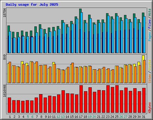 Daily usage for July 2025