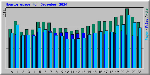 Hourly usage for December 2024