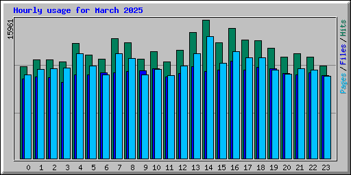 Hourly usage for March 2025