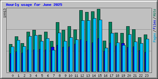 Hourly usage for June 2025