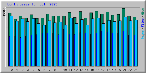 Hourly usage for July 2025